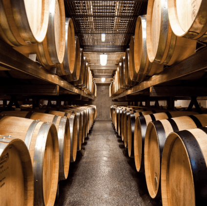 Shafer cellar Shafer cellar