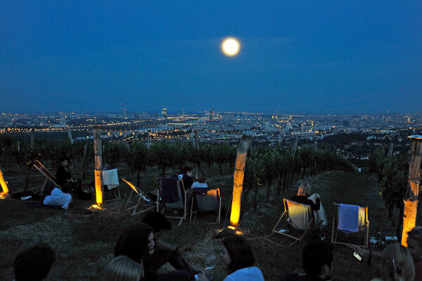 Wieninger Winery in Vienna Wieninger Winery in Vienna