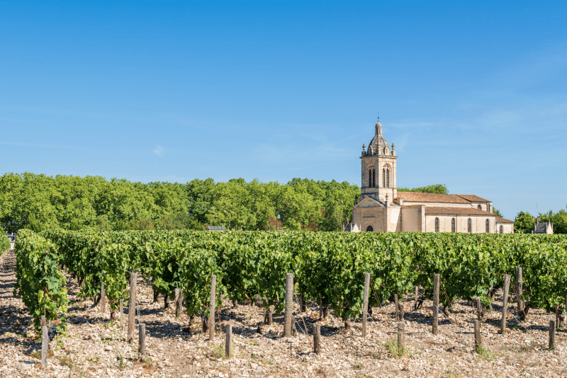 Vineyards in the Médoc