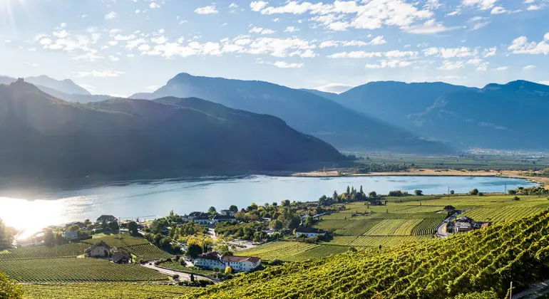 The perfect summer selection from Italy – 6x tasting case