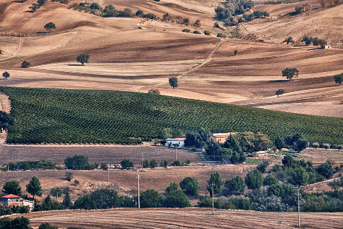 The Vigneti del Vulture winery in the region of Basilicata