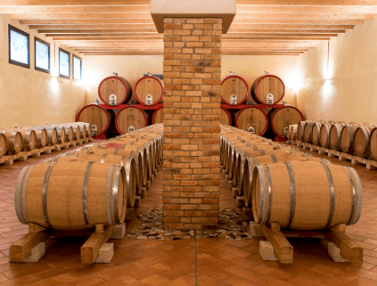Wine cellar Cantina Valdadige