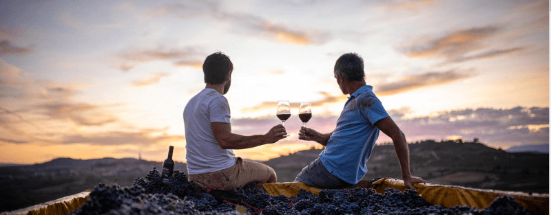 Vintae vineyard Vintae vineyard
