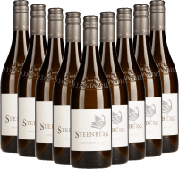 9x Vorteils-Weinpaket Sauvignon Blanc - Steenberg