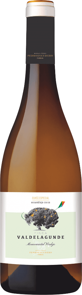 Preview: 12er Vorteilspaket - Valdelagunde Cuvée Especial Verdejo - Pedro Escudero
