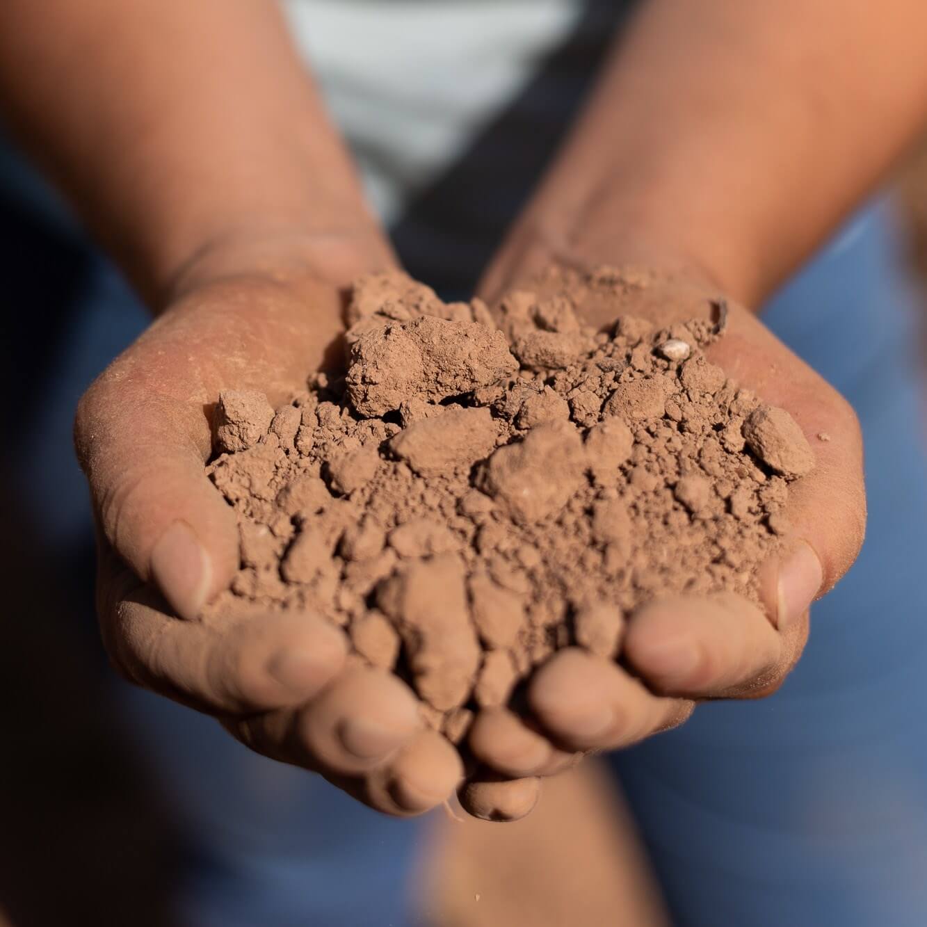 Soil-Ramon-Roqueta