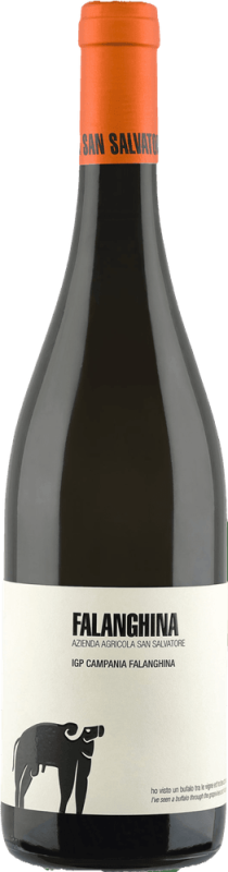Falanghina Bianco - Azienda Agricola San Salvatore