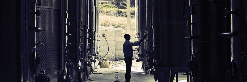 Barone Montalto Wine Cellar