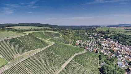 The VDP Große Lage offer ideal conditions for first-class Riesling