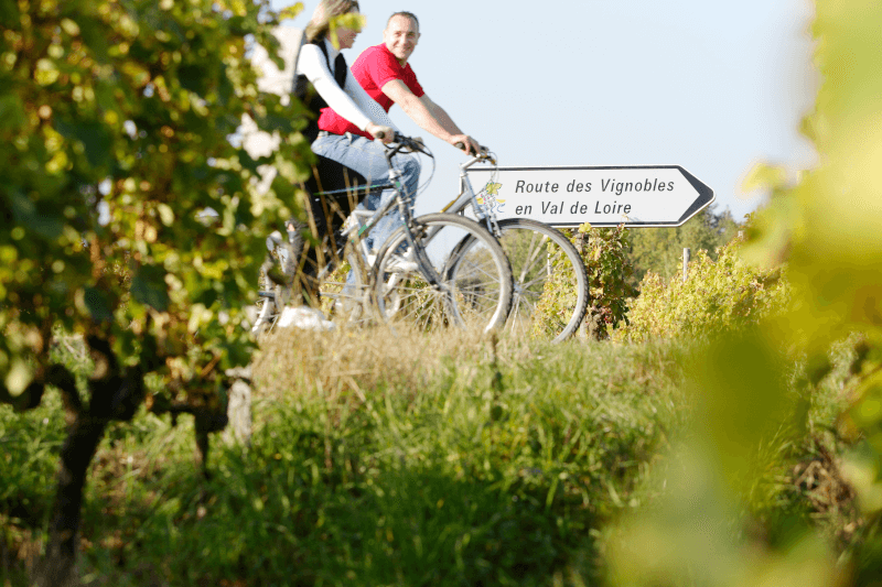 Wine Route Wine Route
