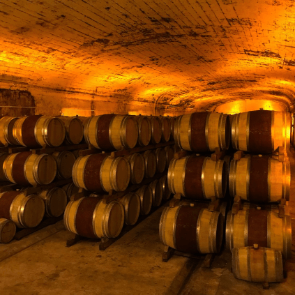 Cellar of the Chateau Mont-Redon Cellar of the Chateau Mont-Redon