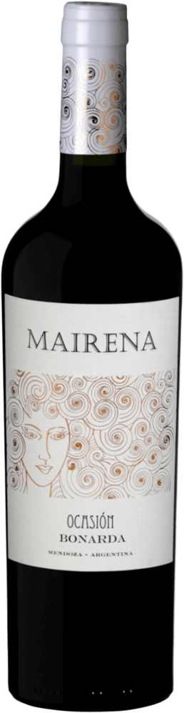 Preview: Hidden Wine Treasures from Argentina by VINELLO - 6-Bottle Discovery Package