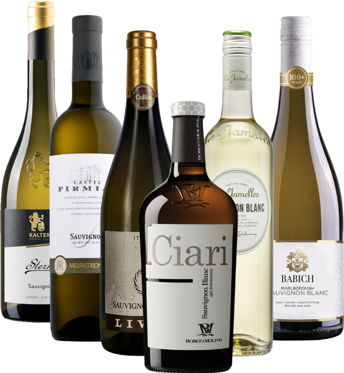 The fascinating world of Sauvignon Blanc – 6x grape variety package