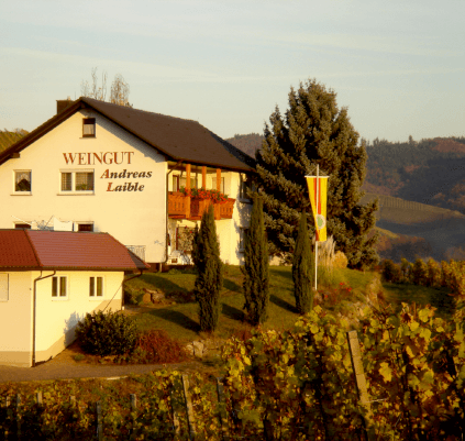 Building Winery Andreas Laible Building Winery Andreas Laible