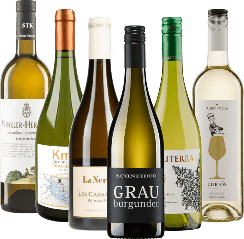 With rosé wines through Europe - 6x tasting package