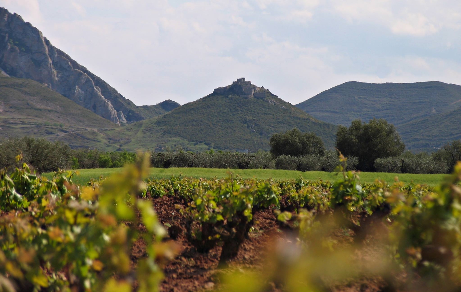 The Valle de Jubera offers perfect growing conditions
