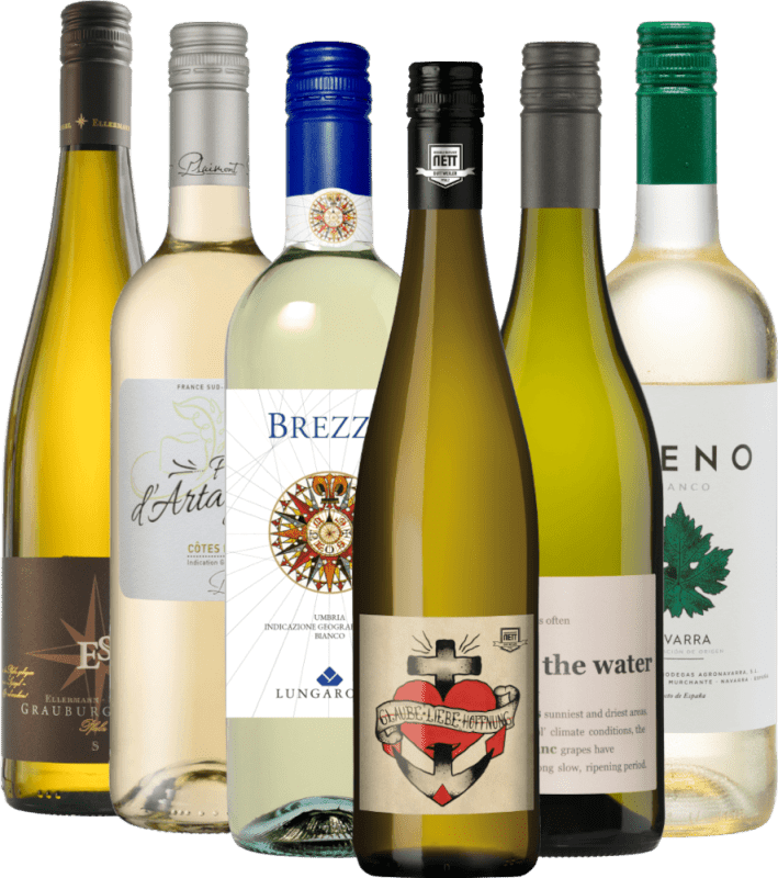 VINELLO's best white wines - 6x top seller package