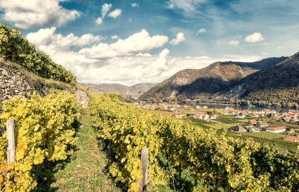 Wine region of Rudi Pichler