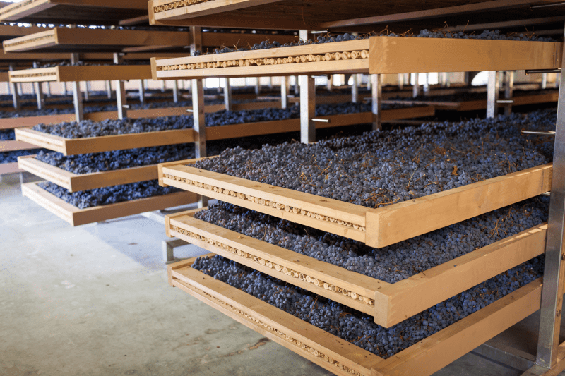 Appassimento Drying Mats Appassimento Drying Mats