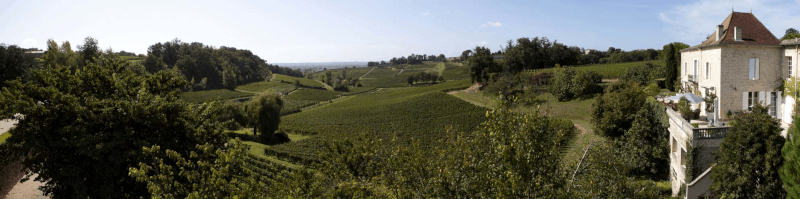 Chateau des Bardes Vineyards