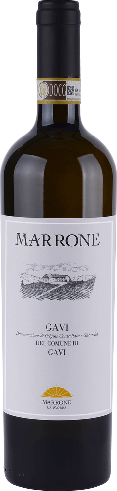 Preview: Discover the diversity of Gavi di Gavi - 6x tasting package
