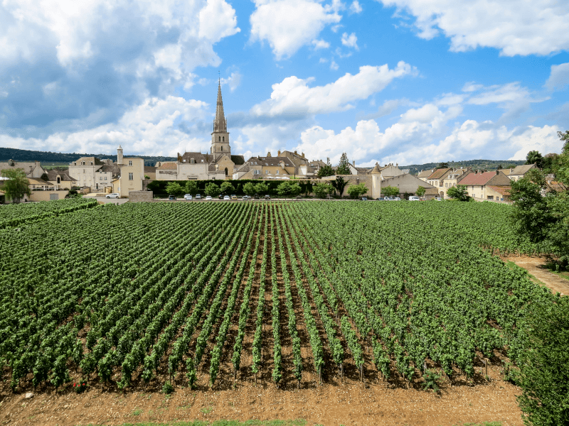 View of Meursault View of Meursault