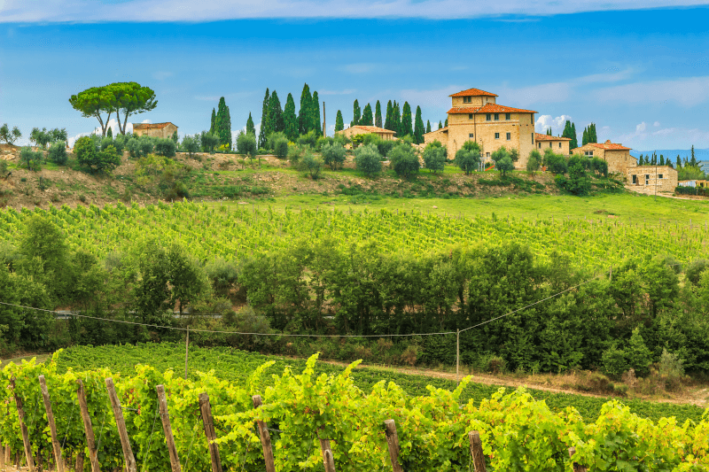 Toskanisches Steinhaus im Chianti Weinberg Toskanisches-Steinhaus-im-Chianti-Weinberg