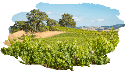 It's easier to thrive naturally - Fetzer Vineyards It's easier to thrive naturally - Fetzer Vineyards