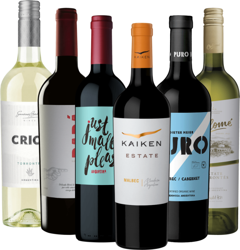 From the Andes to the glass – Argentina’s bestselling 6x discovery package