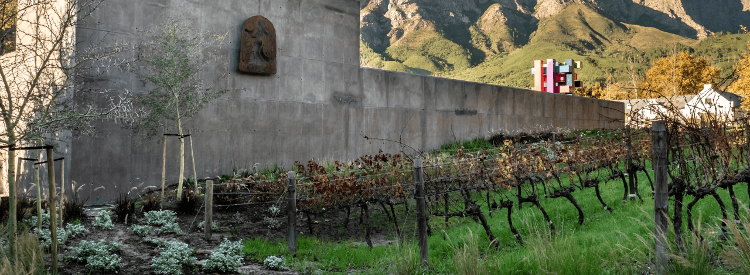 The wine cellar of Boekenhoutskloof