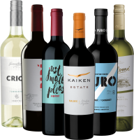 Preview: From the Andes to the glass – Argentina’s bestselling 6x discovery package