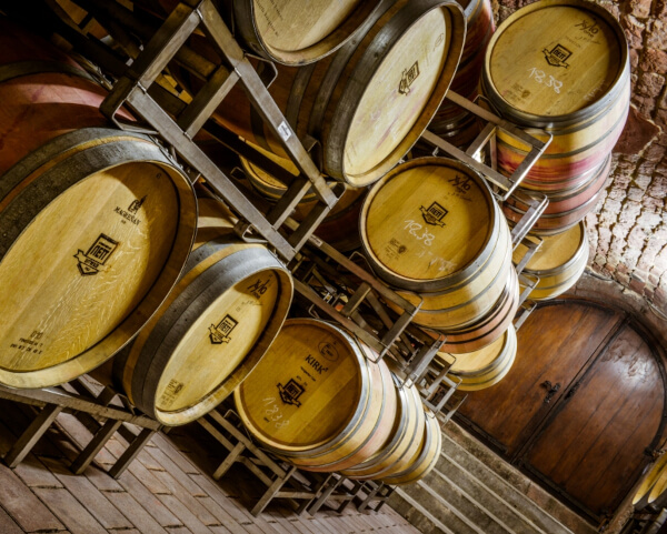 Barriques in the cellar of Bergdolt-Reif & Nett