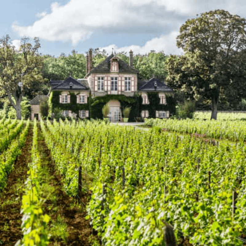 Domaine d Ardhuy House