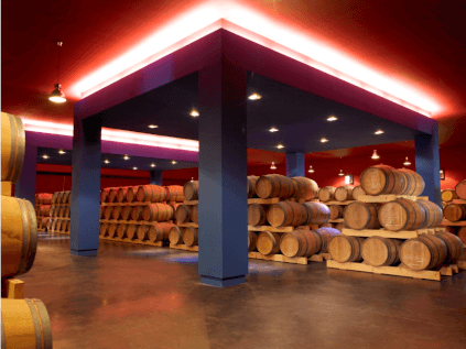 The cellar of Château Belgrave The cellar of Château Belgrave