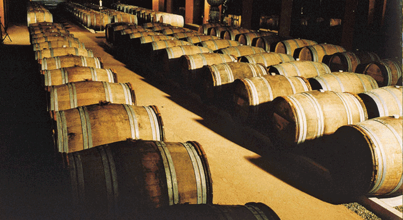 Chateau Bellevue La Foret barrel cellar Chateau Bellevue La Foret barrel cellar
