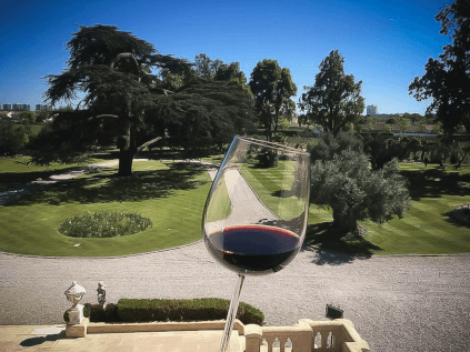 A glass of wine in the castle park