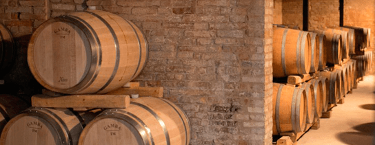 The cellar