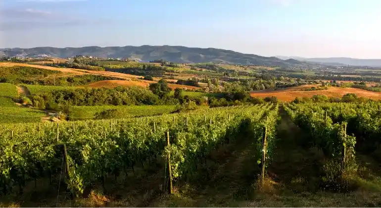 Culinary Journey through Umbria with Lungarotti – 6x Introductory Package