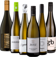 6x Grape Variety Pack – Pinot Gris Bestsellers from Germany