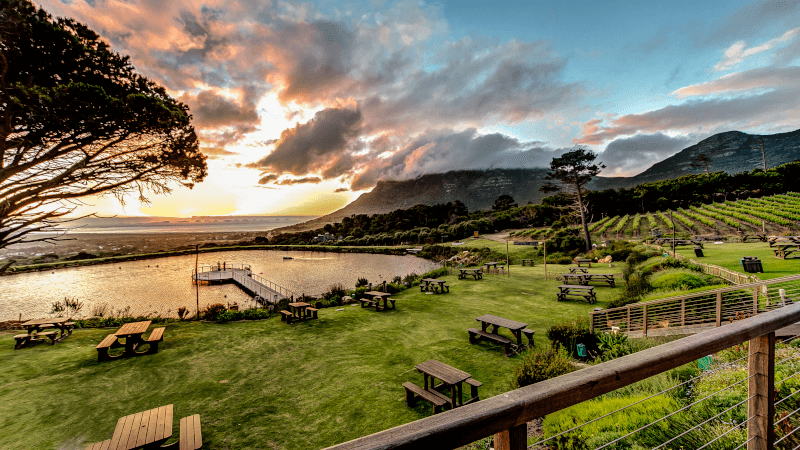 Cape Point Vineyards vineyard lake facility Cape Point Vineyards vineyard lake facility