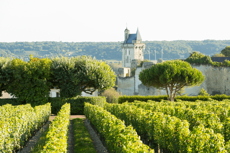 Château on the Loire in France