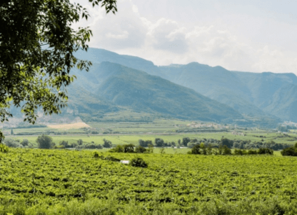 Area around Cantina Valdadige