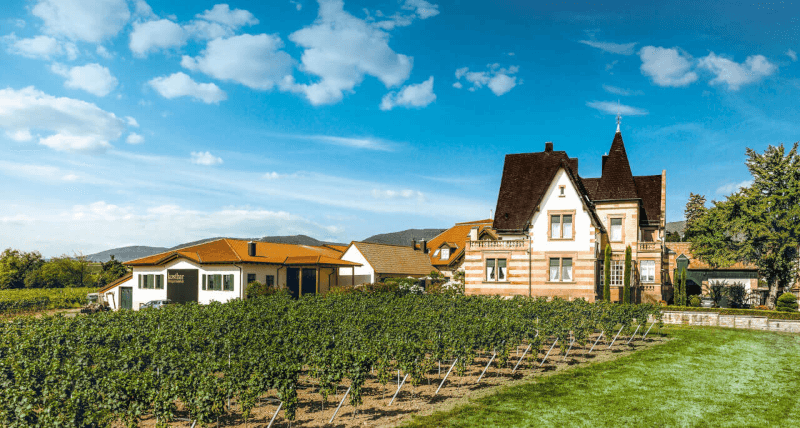Weingut Faubel Lage Weingut Faubel Lage