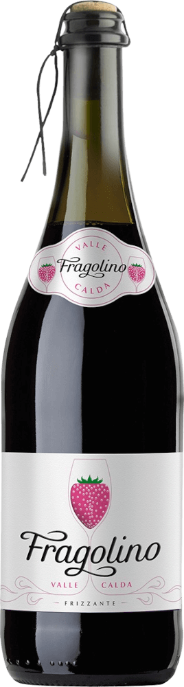 Preview: 6er Vorteils-Weinpaket - Fragolino Valle Calda Frizzante - Vinicola Decordi