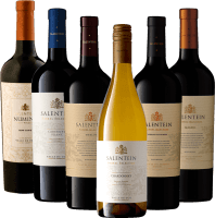 The soul of Mendoza with Bodegas Salentein - 6x tasting package