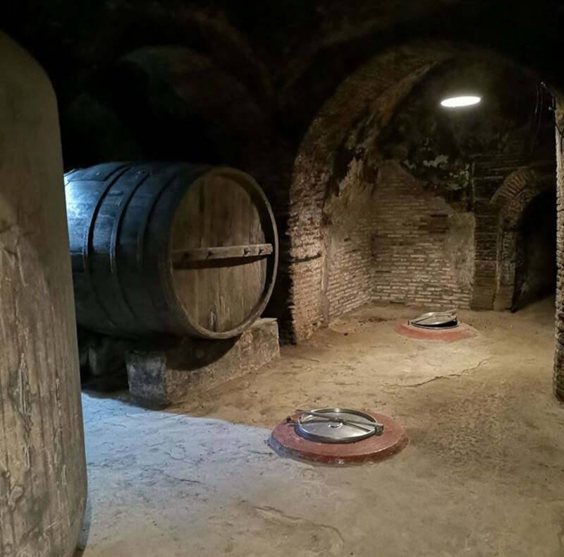 weingut-bodegas_alvarez-y_diez-weinberg weingut-bodegas_alvarez-y_diez-weinberg
