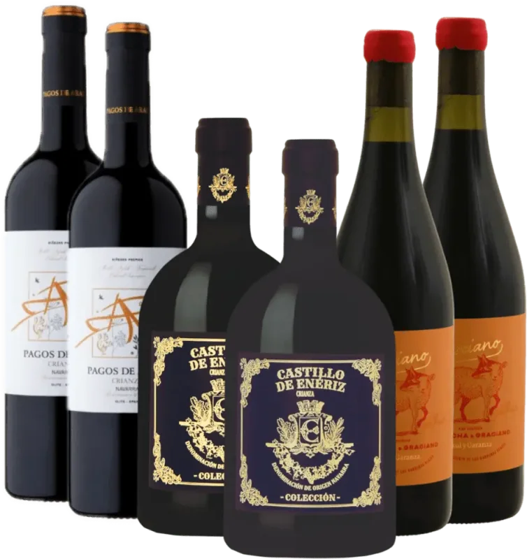 Enjoying red wine from Navarre - 6x discovery package