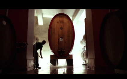 Modern cellar work and wooden barrels set the tone in the cellar.