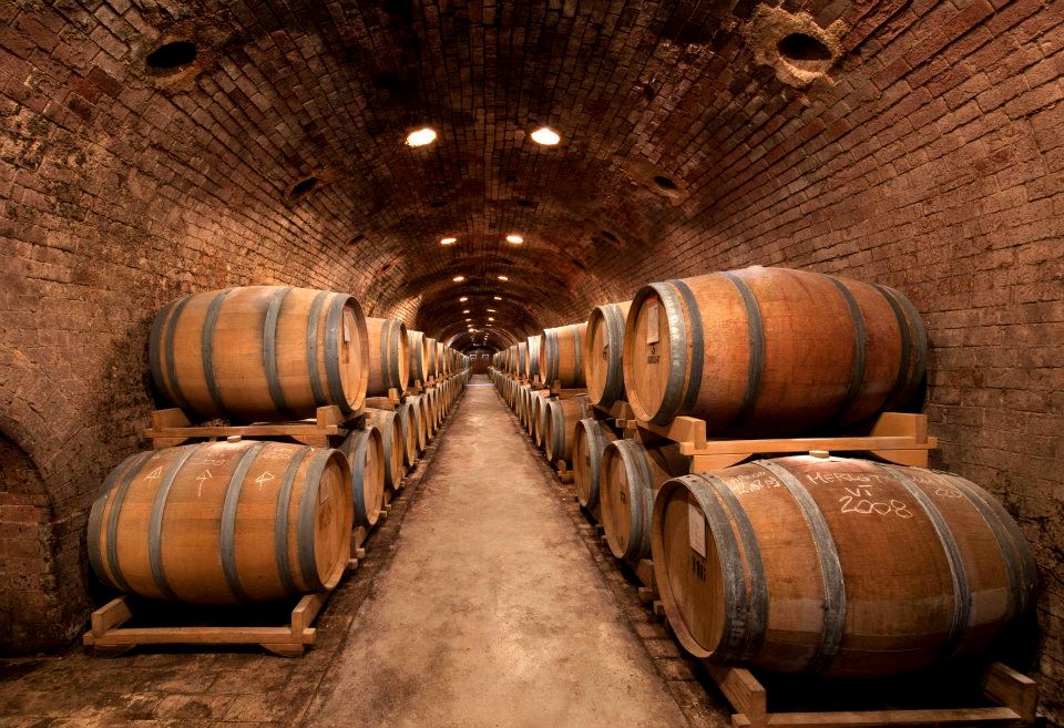 In the Bidoli barrel cellar In the Bidoli barrel cellar