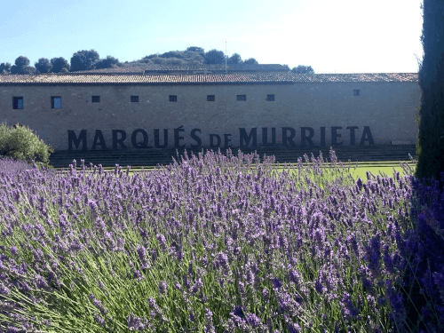 the Spanish winery Marques de Murrieta